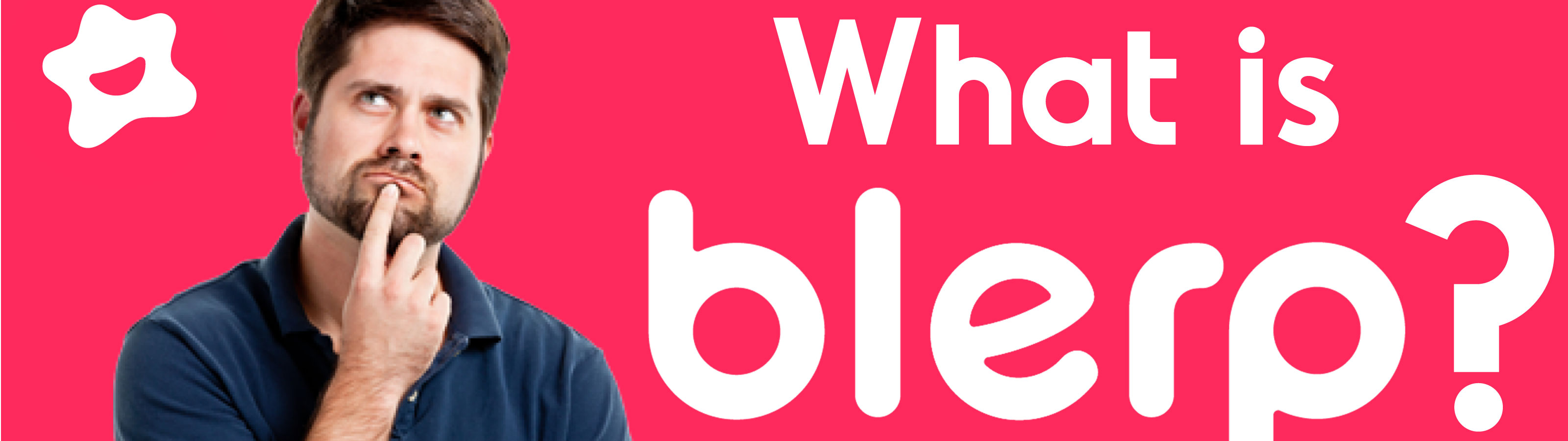 Why Should I Use Blerp?