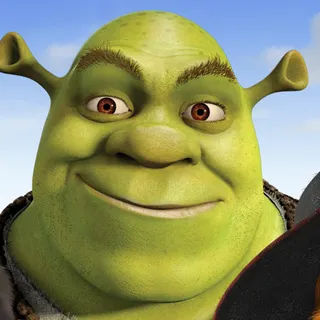 Shrek - Swamp