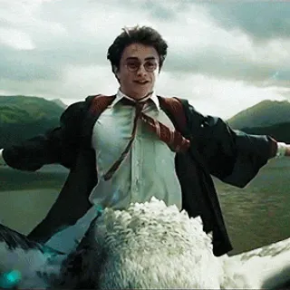 Harry Potter Flute