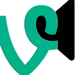 vine boom