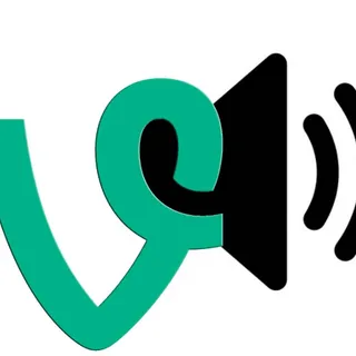 Vine BOOM Sound Effect