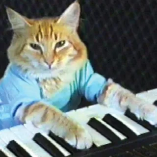 keyboard cat