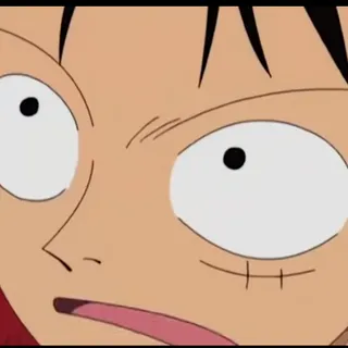 Your big fat head - One Piece