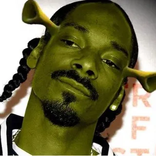 shrekdogg