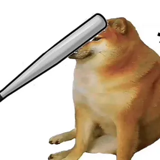 Bonk