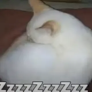 zzz meme sleep