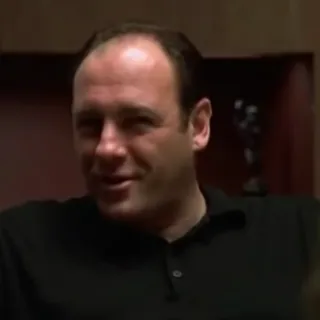 You saying there's something wrong with me? - The Sopranos