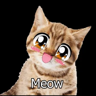 Anime Wow Meow