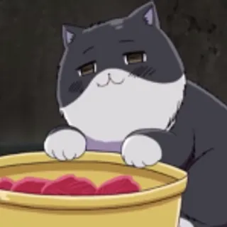 I ruv tuna meow - Hetalia 