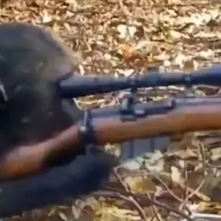 Sniper Monkey