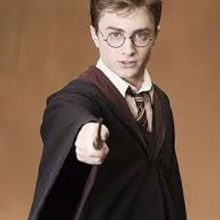 Sectum sempra!: Harry Potter