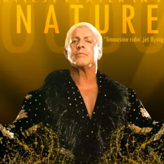Ric Flair Entrance